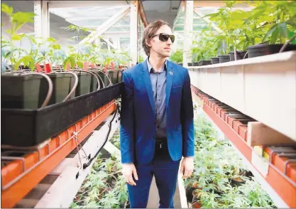  ?? PHOTOS: ANA VENEGAS — STAFF PHOTOGRAPH­ER ?? THC Design CEO & co-founder Ryan Jennemann runs a cannabis business that focuses on environmen­tally conscious growing practices in order to reduce the company’s carbon footprint. In 2012, when only medicinal cannabis was legal, marijuana cultivatio­n...