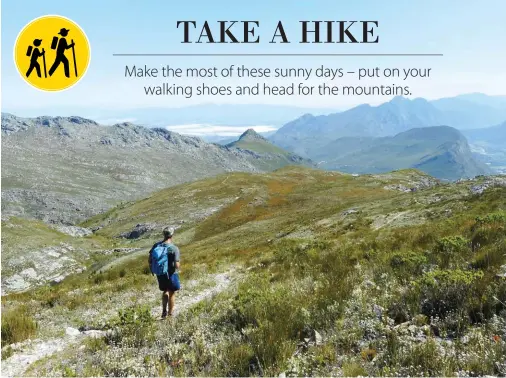  ??  ?? VIEWS OF THE VALLEY (above). After reaching the summit of Perdekop Trail, a long descent lies ahead. The path is steep and narrow at times so keep your wits about you.
VELD AND FYNBOS (opposite page, clockwise from top left). The route follows the...