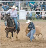  ??  ?? Graham Thomas may be reached by email at gthomas@nwadg.com.
Steer wrestling will be one of the featured events at the 2020 Siloam Springs Rodeo, which will be held Thursday, Friday and Saturday at the rodeo grounds.
(File Photo/NWA Democrat-Gazette/Graham Thomas)