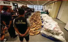  ?? REUTERS PIC ?? Hong Kong Customs officers with seized ivory tusks in Hong Kong yesterday.
