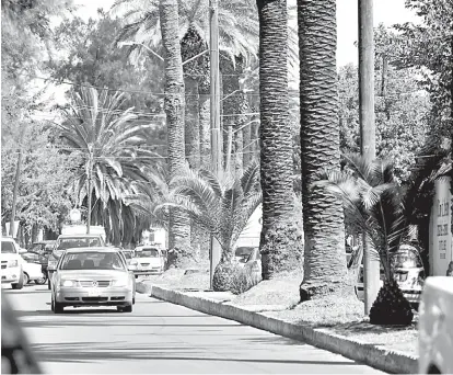  ?? GILBERTO LASTRA ?? El Paseo Universita­rio es un proyecto que pretende hacer peatonal la calle Fanny Anitua.