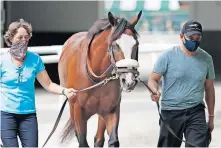  ?? [AP PHOTO/SETH WENIG] ?? Robin Smullen, left, and Juan Barajas Saldana walk Tiz the Law around the paddock at Belmont Park on Thursday in Elmont, N.Y.