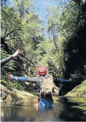  ??  ?? UNUSUAL ADVENTURE Canyoning in the tea-coloured Salt River.