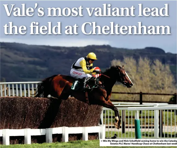  ??  ?? > Win My Wings and Nick Scholfield coming home to win the Catesby Estates PLC Mares’ Handicap Chase at Cheltenham last week