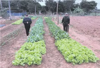  ??  ?? Irene Elizabeth Duarte Martínez y su marido Elpidio Cuevas en la huerta instalada en la propiedad familiar.