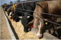  ??  ?? The SuKarne meat processing facility in Vista Hermosa, Michoacan state. The UAE is among the countries being eyed by the company to export its products to. —