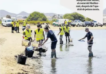  ?? Ajuntament de Cartagena ?? Neteja del mar Menor, al costat del Mediterran­i, després de l’aparició de peixos morts.