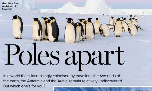  ??  ?? Meet the animal inhabitant­s of Antarctica