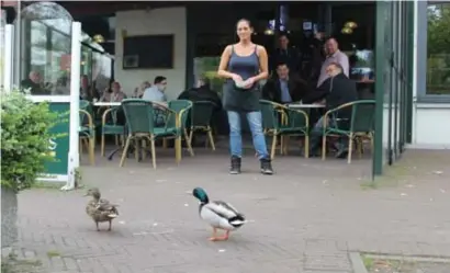  ?? FOTO TOON ROYACKERS ?? Op het terras van ’t Zonnehog is zelf een apart plekje gereservee­rd voor Kwak en Boemel.