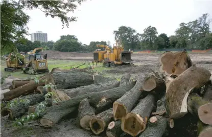  ?? RICK MAJEWSKI/FOR THE SUN-TIMES ?? Cut trees in Jackson Park, across from Hyde Park Academy High School.