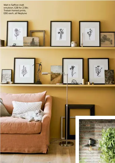  ??  ?? Wall in Saffron matt emulsion, £38 for 2.5ltr; Trebah framed prints, £90 each, all Neptune