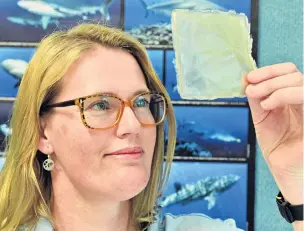  ?? PHOTO: LINDA ROBERTSON ?? You are what you eat . . . Dr Bridie Allan, of the University of Otago marine science department, has been studying the effects of this edible film material on the behaviour and fitness of fish.