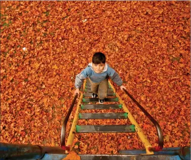  ?? REUTERS ?? A boy climbs stairs at a children’s park covered in autumn leaves in Srinagar on Tuesday.