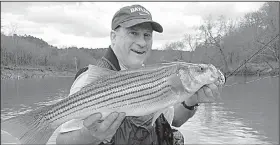  ?? Arkansas Democrat-Gazette/BRYAN HENDRICKS ?? Bill Eldridge of Benton admires his last and biggest striped bass of the day last Saturday. He caught it while trolling in the Ouachita River near Saltpeter Rock. It was the biggest fish Eldridge ever caught with a rod and reel.