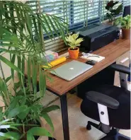  ??  ?? DUAL ROLE Table plants like pothos and a tall shrub can also serve as a ‘privacy screen’ for your work-from-home corner