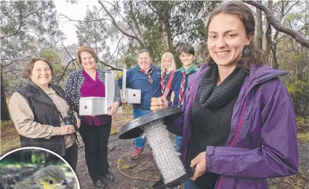  ?? ?? Community members help save pardolates from parasitic flies that kill their chicks, natural areas interpreta­tion officer Bridget Jupe (left) Kingboroug­h Mayor Paula Wriedt, Venturers leader Carolyn Gregory, joey Alma Carroll, 5, scout Xavier Webster 13, and ANU researcher Fernanda Alves holding a feather dispenser. Picture: Chris Kidd