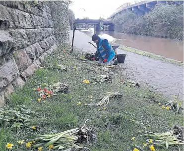  ?? PHOTOS: CRT ?? Canalside gardening.