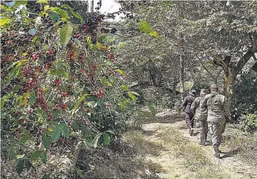  ??  ?? Patrullaje­s. En las faldas del volcán Chichontep­ec hay desplazami­ento de soldados, como este ayer.