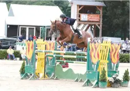  ??  ?? Oliver Fletcher and Dahar triumph in the children’s grand prix