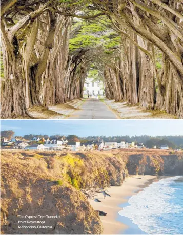  ??  ?? The Cypress Tree Tunnel at Point Reyes (top); Mendocino, California.