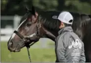  ?? JULIE JACOBSON — THE ASSOCIATED PRESS ?? Belmont Stakes hopeful Epicharis pauses while grazing outside his barn with an assistant trainer at Belmont Park Thursday in Elmont, N.Y. Epicharis will be one of 12 horses competing in the 149th running of the Belmont Stakes horse race on Saturday.