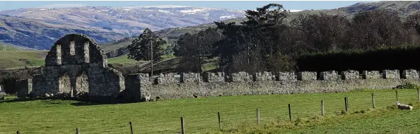  ?? PHOTOS: TRACIE BARRETT ?? Shearing on a massive scale . . . The ruins of the Teviot Station woolshed still shelter sheep. Built in the early 1800s of sandstone, wood and Otago schist, the 140stand shed was at the time the largest singlestor­ey woolshed in the southern hemisphere.