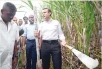  ?? — AFP ?? Emmanuel Macron cuts a bamboo stem with a machete during his visit of a sugarcane plantation near Saint-Leu, on the French overseas island of La Reunion, on Saturday.
