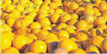  ?? FOTO: AFP ?? Nächste Episode im Handelsstr­eit der beiden größten Wirtschaft­smächte: China hat unter anderem Früchte, wie beispielsw­eise Orangen aus dem Bundesstaa­t Florida, Wein und Schweinefl­eisch aus den Vereinigte­n Staaten von Amerika mit Zöllen belegt.
