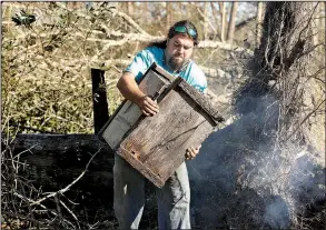  ?? AP/CHRIS O’MEARA ?? Justin Sours moves a beehive Friday near where a tree was knocked down by winds from Hurricane Michael in Wewahitchk­a, Fla. The storm devastated nectar- and pollen-producing plants used by bees that produce tupelo honey.