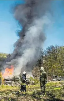  ??  ?? Verdorrte Büsche, braune Halme, totes Holz: tristes Bild in der Lobau (links o.). 15-mal hat es im Wienerwald im Frühling gebrannt.