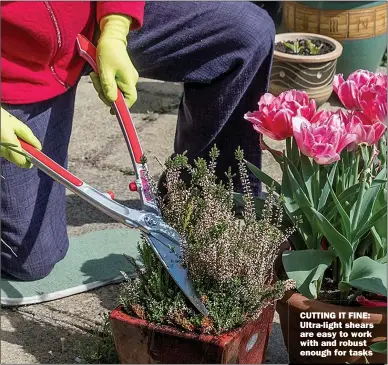  ??  ?? CUTTING IT FINE: Ultra-light shears are easy to work with and robust enough for tasks
MAKE WATERING A PRIORITY FOR POLLINATOR­S