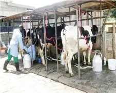  ?? ?? The Government plans to grow the dairy sector to a US$1,9 billion industry by 2025 (File Picture)