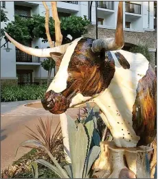  ?? (Courtesy Photo/Amy Haid) ?? Amy Haid’s largest mosaic sculpture is the life-sized bust of a steer titled “Maverick,” which was exhibited at the Gaylord Texan Resort in Grapevine, Texas.