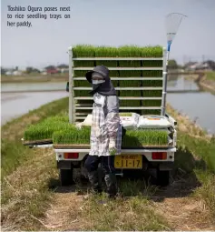  ??  ?? Toshiko Ogura poses next to rice seedling trays on her paddy.