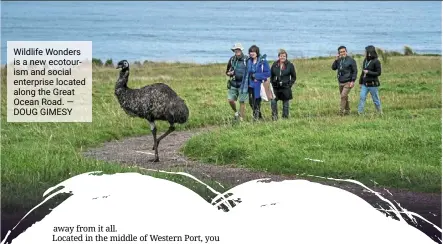  ?? — doug Gimesy ?? Wildlife Wonders is a new ecotourism and social enterprise located along the Great Ocean road.