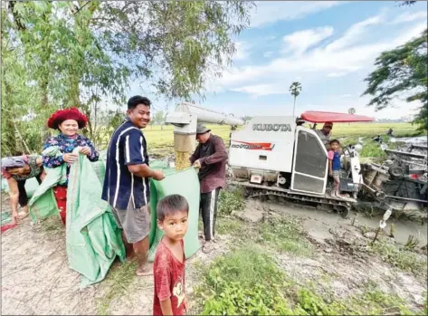  ?? HONG MENEA ?? Farmers in Takeo province’s Prey Kabas district harvest their rice last week, ahead of the announceme­nt of the government’s new agricultur­e policies, which are designed to support the sector.