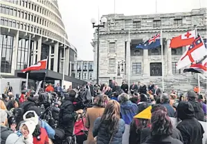  ??  ?? Ministers address hundreds of Maori protesters gathered to demonstrat­e against what protesters say is the disproport­ionate number of Maori children taken by social service agencies from their families, outside the New Zealand parliament in Wellington in July last year.