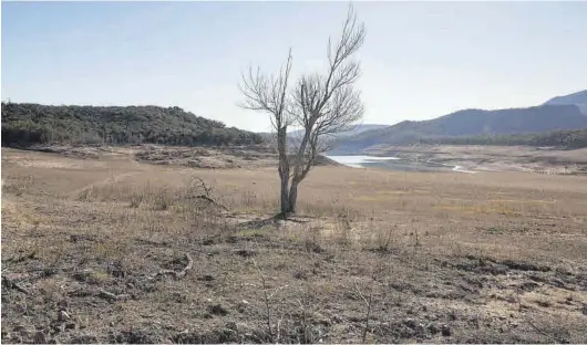 ?? DAVID APARICIO FITA ?? El pantano de Darnius-Boadella, situado en la cuenca alta del río Muga, en el Alt Empordà (Gerona), en mínimos históricos como consecuenc­ia de la sequía.