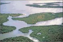  ?? CONTRIBUTE­D BY NATIONAL PARK SERVICE ?? Canaveral National Seashore is on a barrier island that includes ocean, beach, dune, hammock, lagoon, salt marsh, and pine flatland habitats.