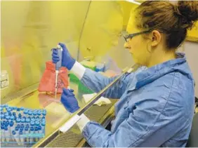  ?? PHOTO COURTESY TENNESSEE DEPARTMENT OF AGRICULTUR­E ?? A laboratory employee works with avian influenza virus samples.