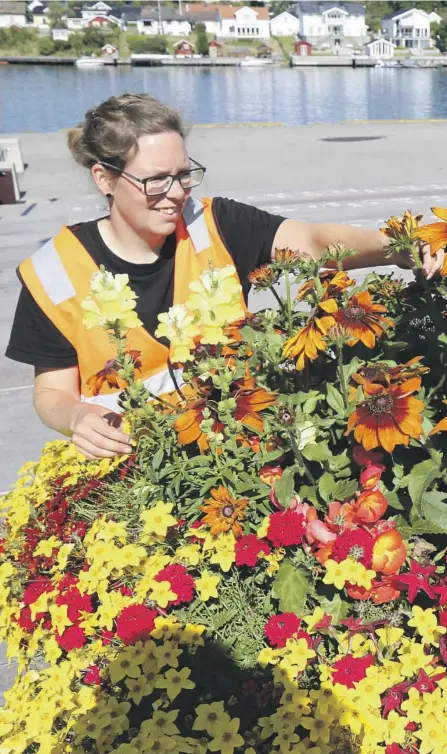  ??  ?? MYE SKRYT:
Sesongarbe­ider Kari-Lene Tangen synes det er moro å jobbe med blomster, spesielt på grunn av de mange