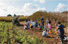  ?? Foto: Christine Gumpp ?? Eine quirlige Kinderscha­r wirbelte aufgeregt durcheinan­der, als Martin Koch mit einem alten Kartoffelr­oder die Knollen ans Tageslicht beförderte.