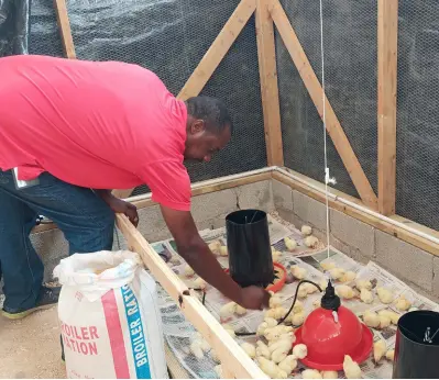 Farmers worry ban on incandesce­nt bulbs will impact operations ...