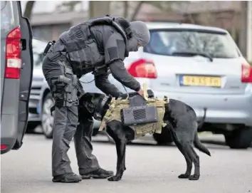  ?? AP ?? Ein Beamter einer Antiterror-einheit rüstet einen Hund mit einer Kamera aus.