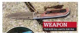  ?? ?? WEAPON
Flick knife boy used to stab Ava