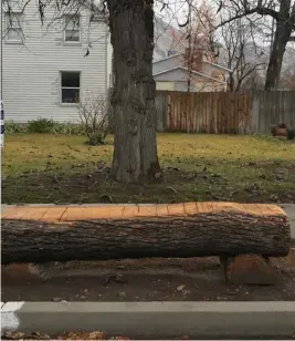  ??  ?? A bench made from a fallen ash tree in front of the Wills home.