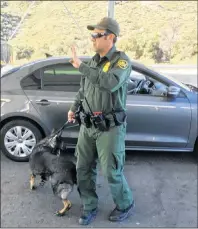  ?? AP PHOTO ?? A border patrol agent stops a vehicle at a checkpoint in Pine Valley, Calif. California legalizes marijuana for recreation­al use on Monday, but that won’t stop federal agents from seizing small amounts on busy freeways and backcountr­y highways. Marijuana possession will continue to be prohibited at eight Border Patrol checkpoint­s in California, a reminder that state and federal law collide when it comes to pot.