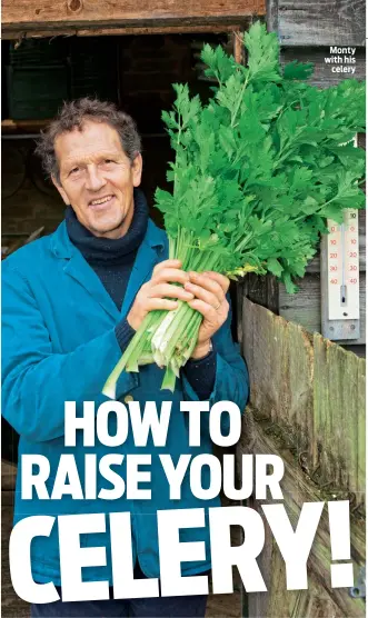  ??  ?? Monty with his celery