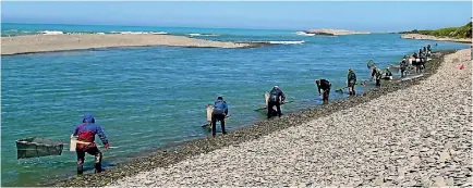  ?? MARK YUNGNICKEL ?? Whitebaite­rs at the mouth of the Waitaki River in Otago. Individual catches may be declining, but there are many more people fishing now than ever before.