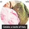  ??  ?? Gelato: a taste of Italy